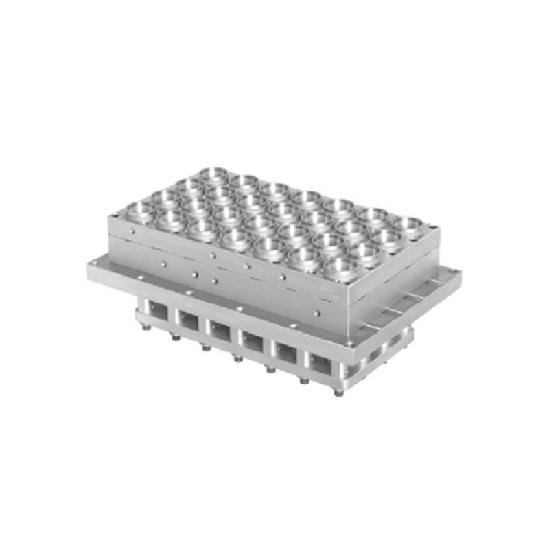 Termoformiranje plastičnih šalica/ploča/spremnika/kutije/kapka kalup